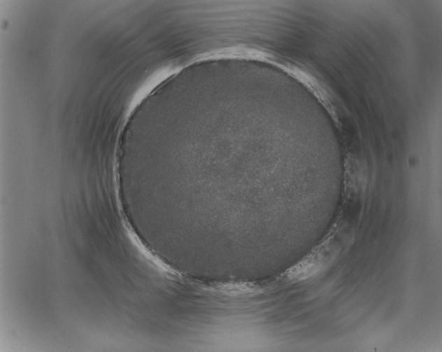 X0000067910998200604131339