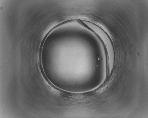 X0000067910999200604131339