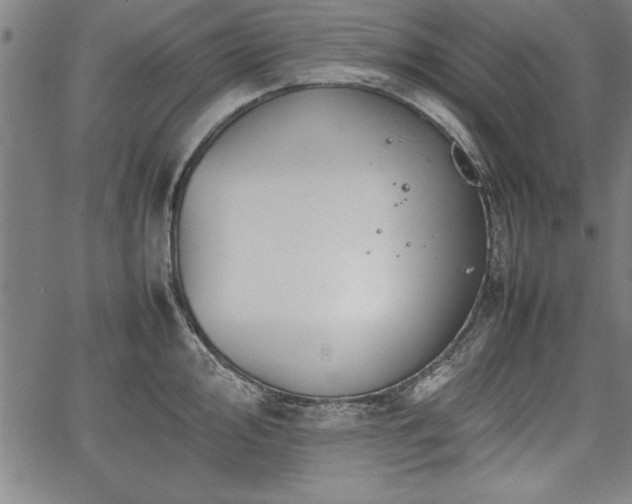 X0000067911000200604131339