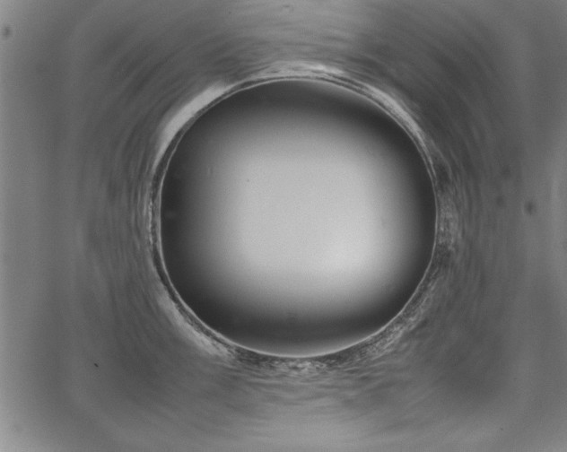 X0000067911003200604131339