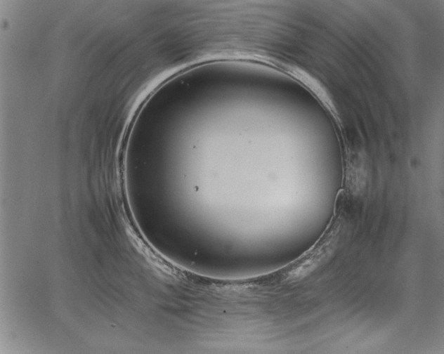 X0000067911004200604131339