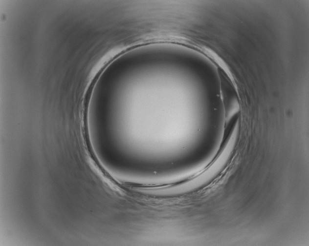 X0000067911005200604131339