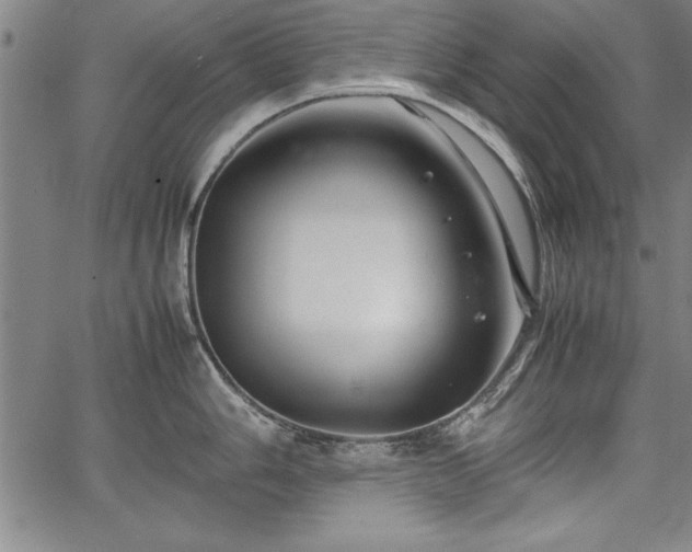 X0000067911006200604131339