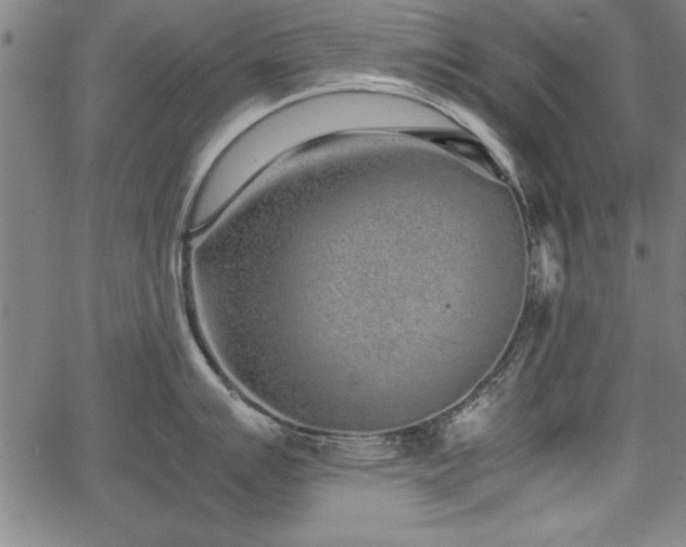 X0000067911007200604131339