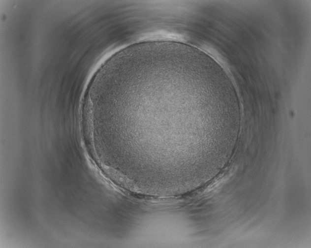 X0000067911008200604131338