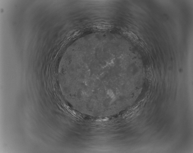 X0000067911009200604131338