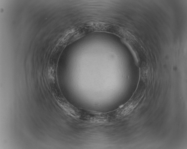 X0000067911010200604131338