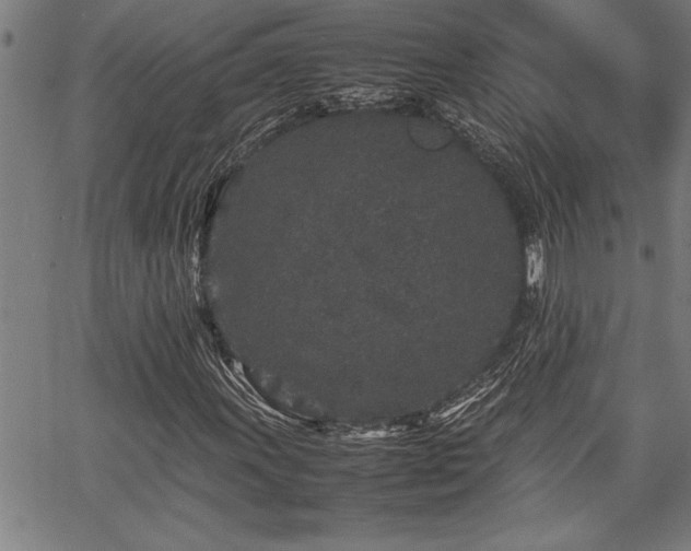 X0000067911011200604131338