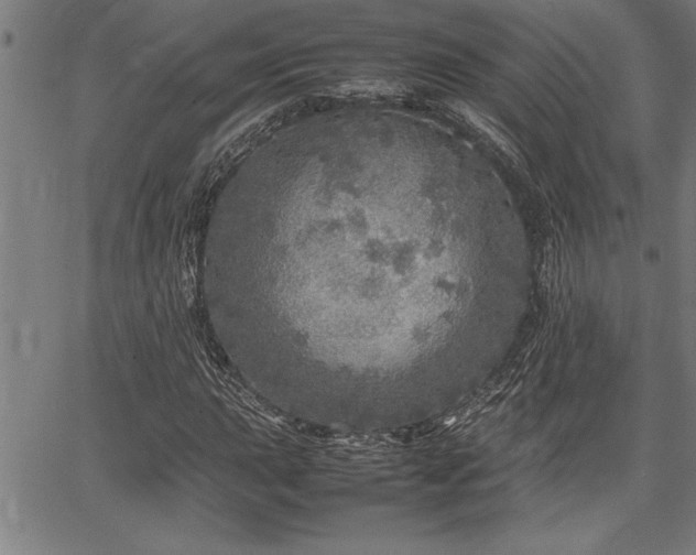 X0000067911015200604131338