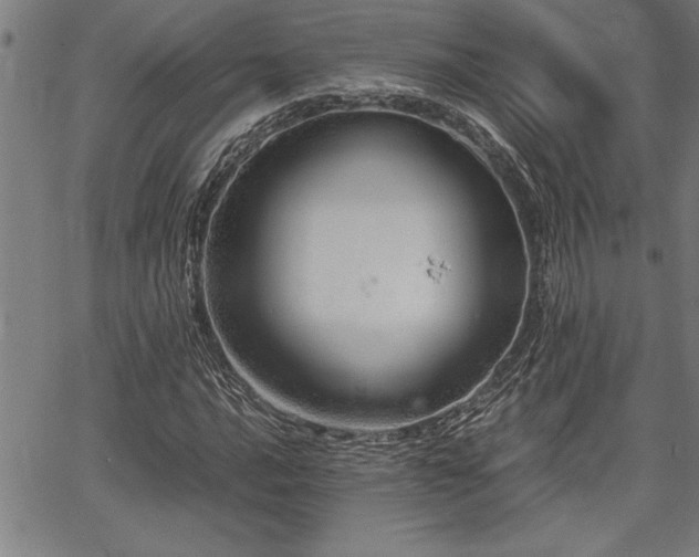 X0000067911016200604131338