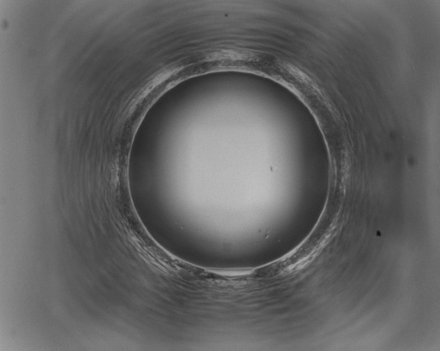 X0000067911017200604131338