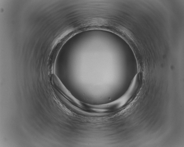 X0000067911018200604131338