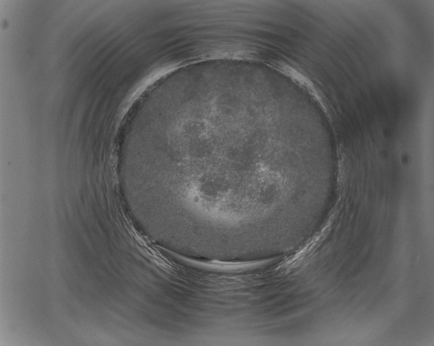 X0000067911019200604131338