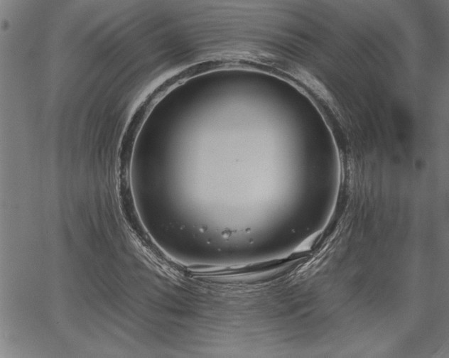 X0000067911020200604131338