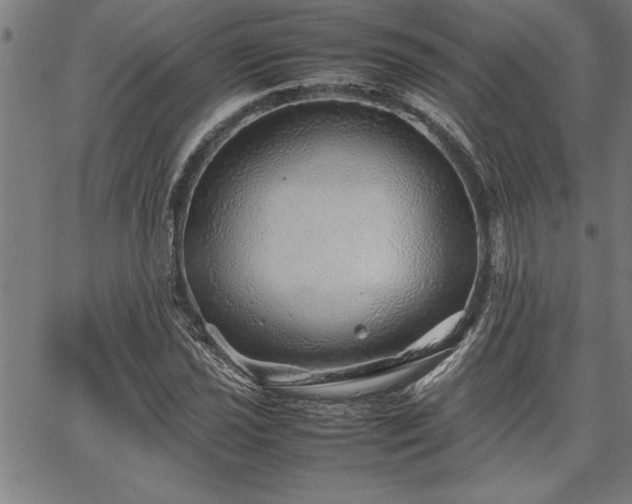 X0000067911021200604131338