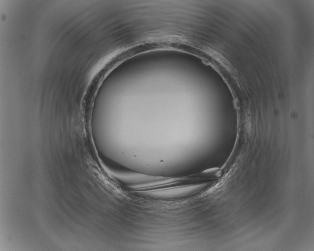 X0000067911022200604131338