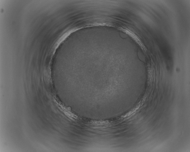 X0000067911023200604131338