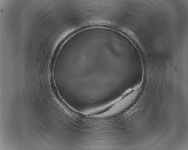 X0000067911024200604131338