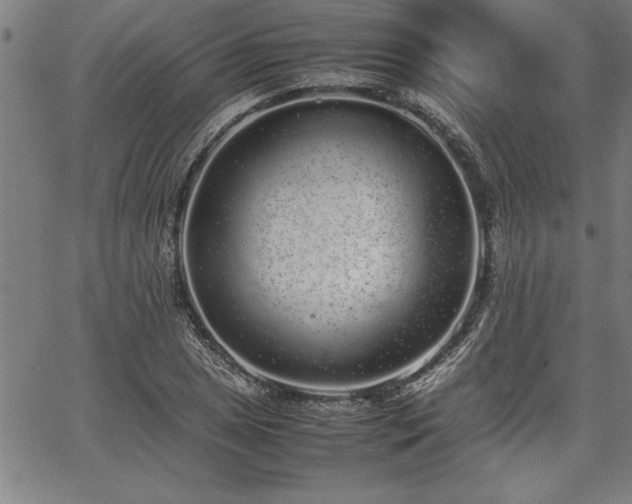 X0000067911025200604131338