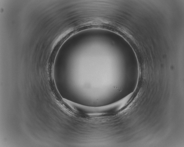 X0000067911026200604131338