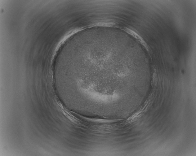 X0000067911027200604131338