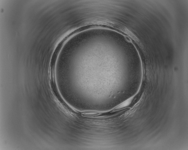 X0000067911028200604131338