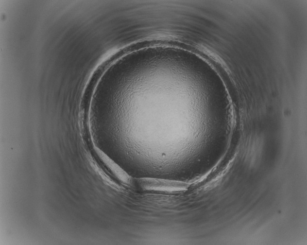 X0000067911029200604131338