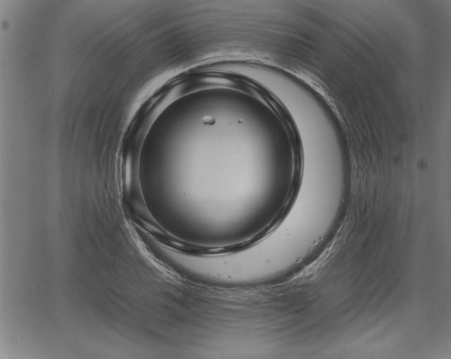 X0000067911030200604131338