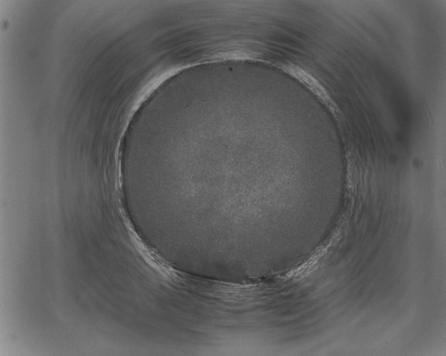 X0000067911031200604131338