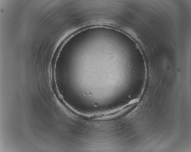 X0000067911032200604131338