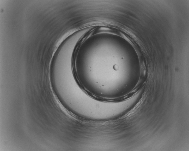 X0000067911034200604131338