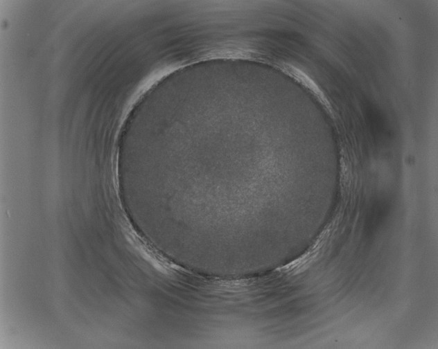 X0000067911035200604131338