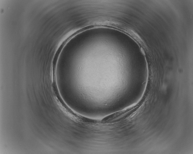 X0000067911036200604131338