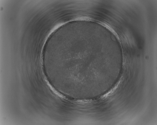 X0000067911037200604131338