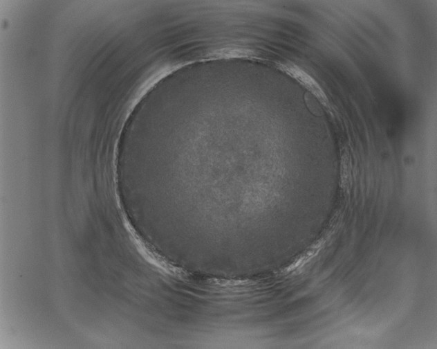 X0000067911039200604131338