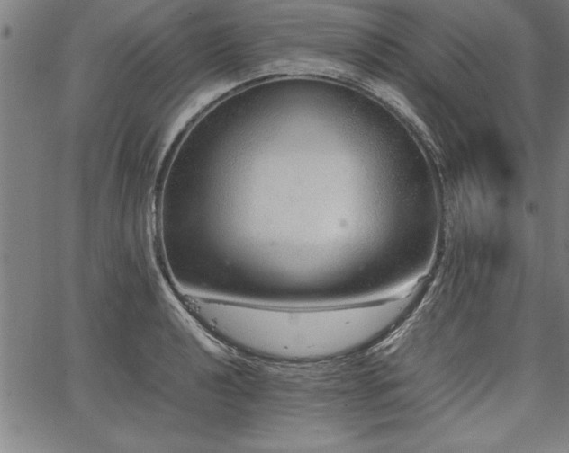 X0000067911040200604131338