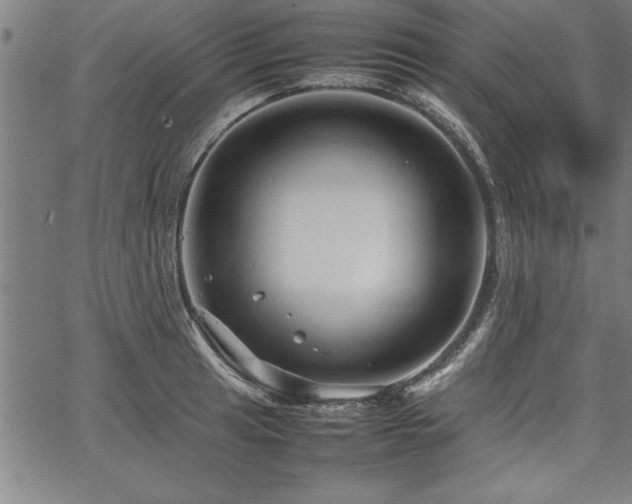 X0000067911041200604131338