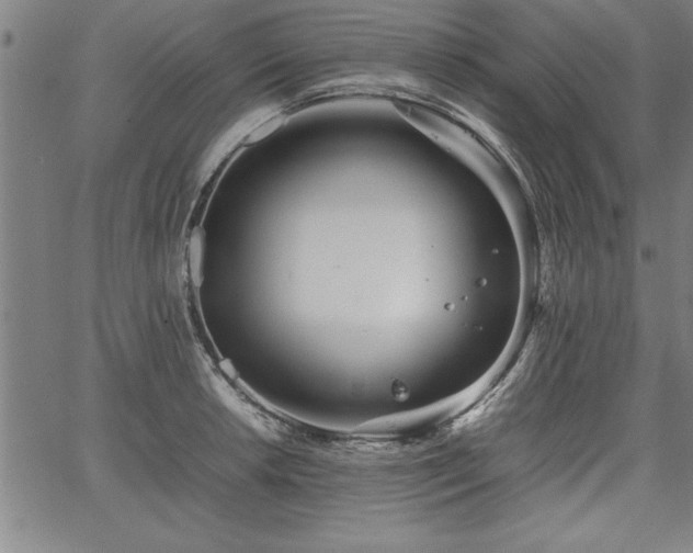 X0000067911042200604131338