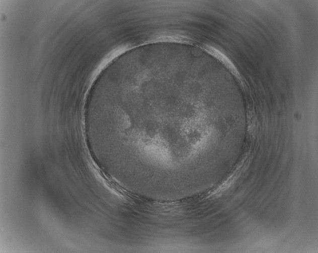 X0000067911043200604131338