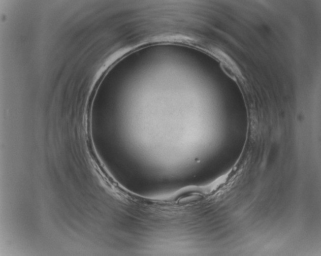 X0000067911044200604131338