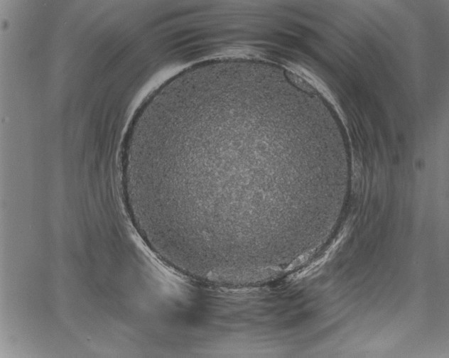 X0000067911045200604131338