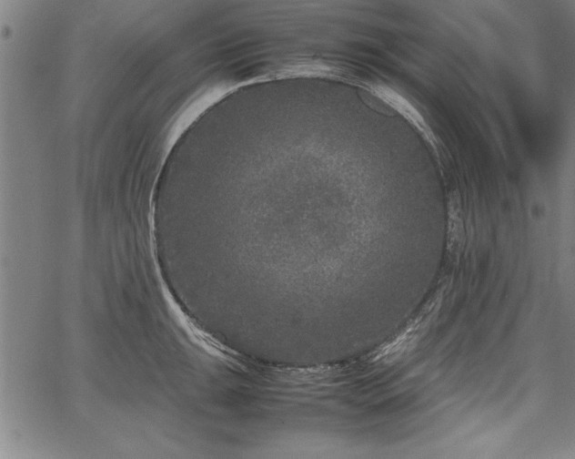 X0000067911047200604131338