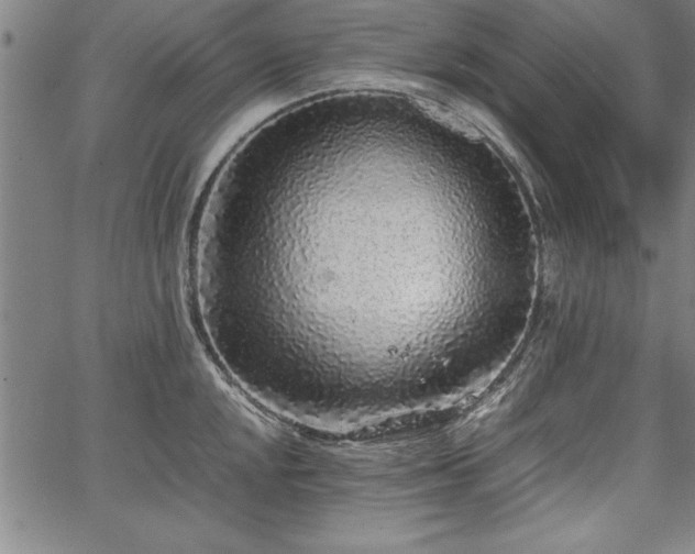 X0000067911048200604131338