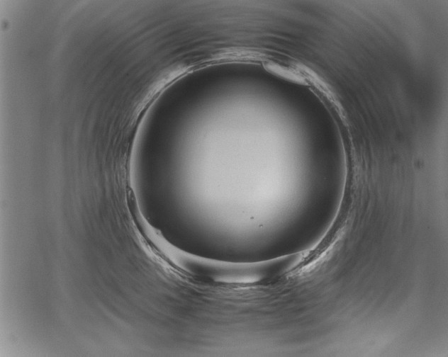 X0000067911049200604131338