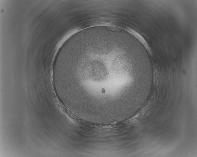 X0000067911051200604131338