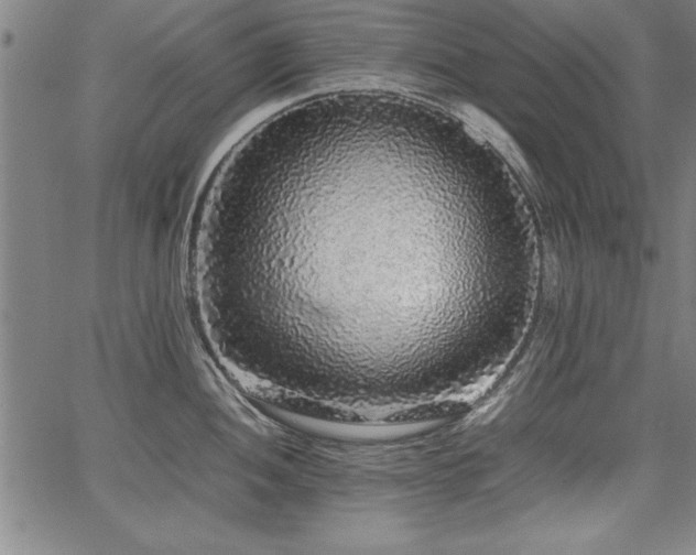 X0000067911052200604131338