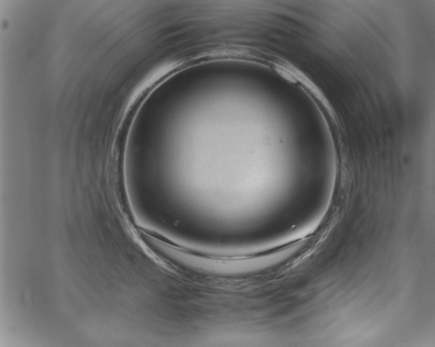 X0000067911053200604131338