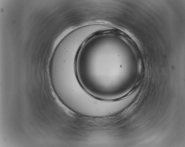 X0000067911054200604131338