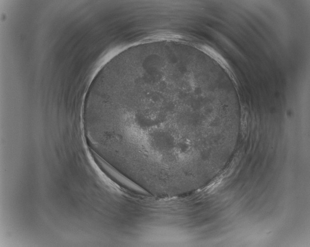 X0000067911055200604131338