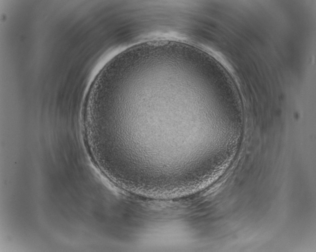 X0000067911056200604131338